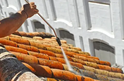 Nettoyage de toitures - Montvicq